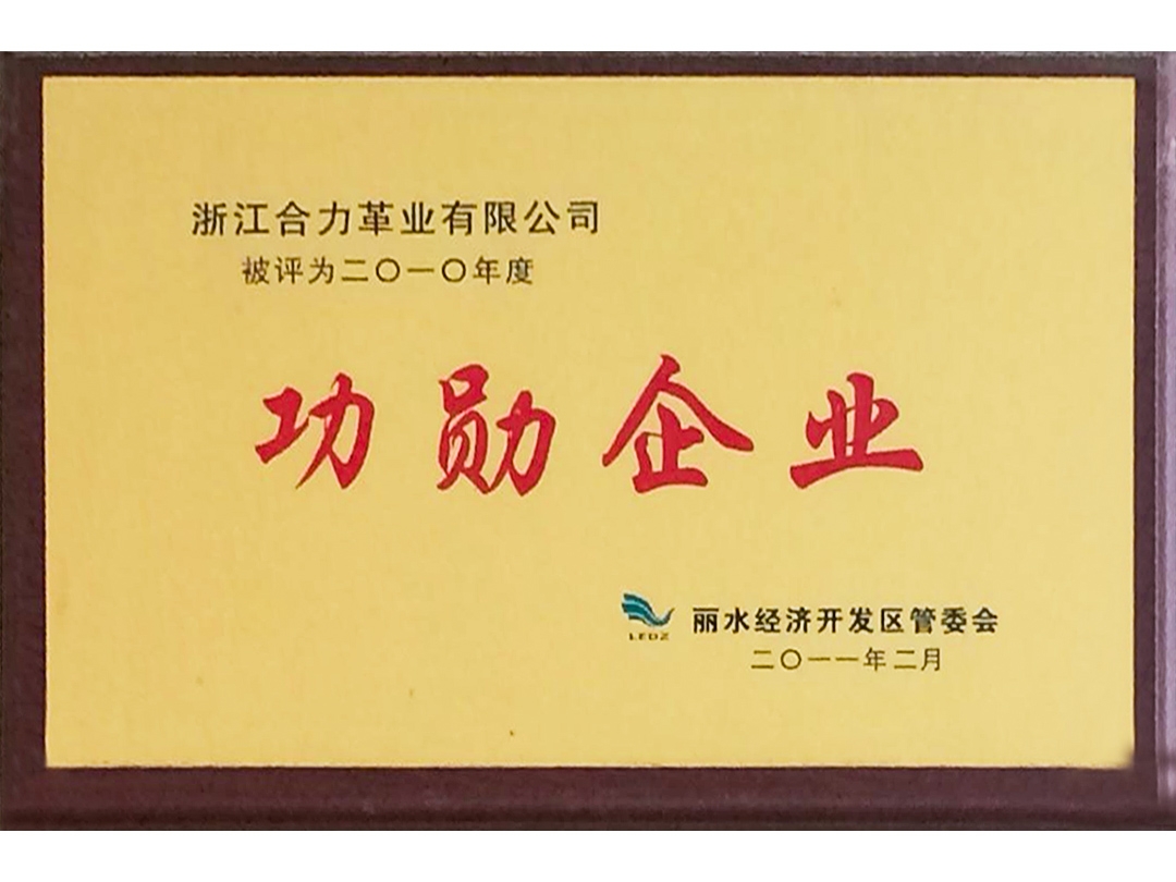 2010年度麗水經濟開發區功勛企業