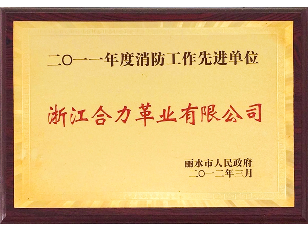 2011年度消防工作先進單位